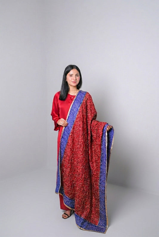 Red Ari Jaal Embroidered Dupatta with Blue Border