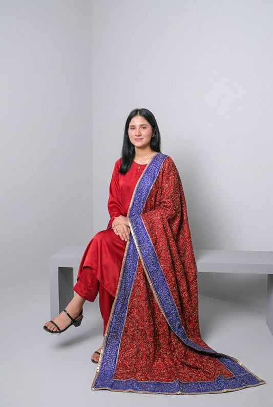 Red Ari Jaal Embroidered Dupatta with Blue Border