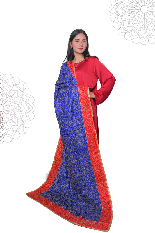 Blue Ari Jaal Embroidered Dupatta with Red Border
