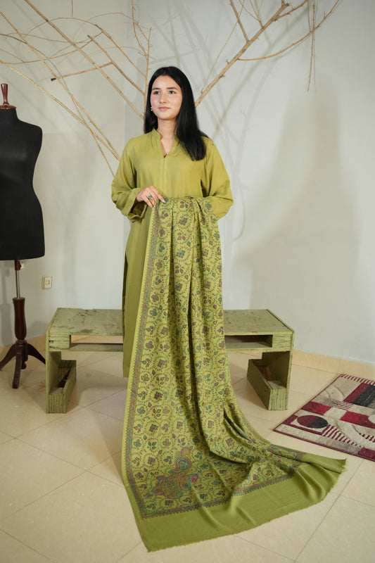 3 Piece - Simple Green Pashmeena Suit with Shawl