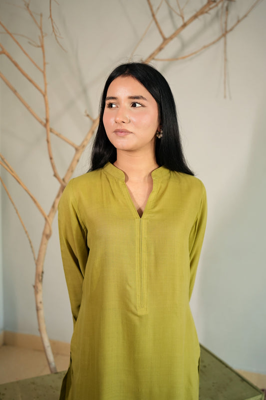 3 Piece - Simple Green Pashmeena Suit with Shawl